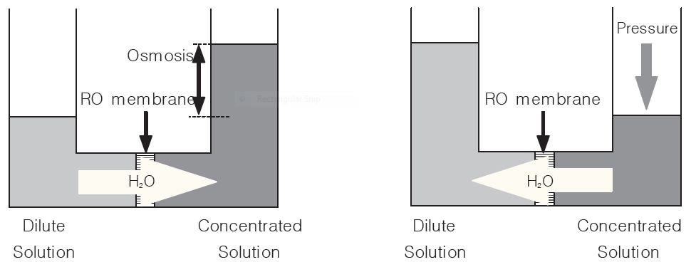 پدیده اسمز معکوس