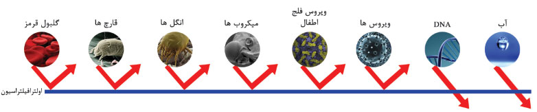 اولترافیلتراسیون